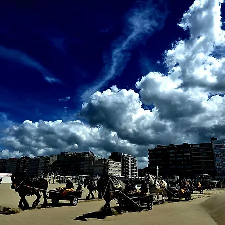Campingplads Moon